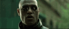 gatekeeper-the-matrix.gif