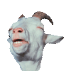 1685218580985.gif