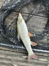 IMG_5343.jpeg