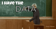 i-have-the-data-data.gif