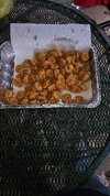 20231224_161841.jpg