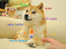 dogevape.jpg