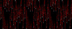 Matrix Code (Red).gif