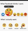 smilies-what-facebook-thinks-i-want-wtf-face-palm.webp.675e0f16423dda10385e9c8bbab3b2e8.png