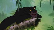 jungle-book3-740x424.jpg