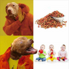 pitbulls.png