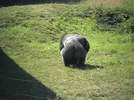1000000526.gif