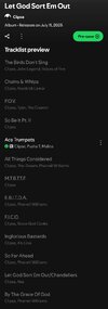 Screenshot_20250630_101842_Spotify.jpg