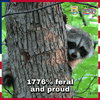 1773878718371.gif