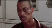 IMG_2766.gif