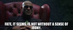 IMG_1524.jpeg