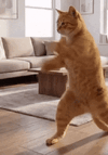 1775510565973.gif