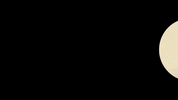 IMG_5687.gif