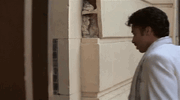 IMG_4508.gif