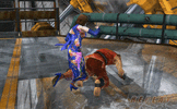 IMG_5753.gif