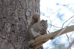 IMG_0389.JPG