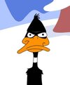 daffy-duck-stare.jpeg