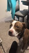 IMG_6108.jpeg