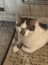 IMG_6111.jpeg