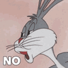 IMG_1253.gif