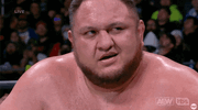 IMG_4865.gif