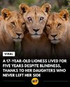 FB_IMG_1776722949942.jpg