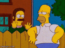 homer-flanders.gif