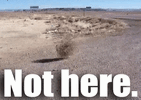 1776858938766.gif