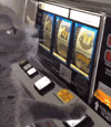 IMG_6186.gif