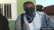 foLIsy.gif