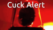 1778554899547.gif