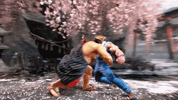 IMG_6450.gif