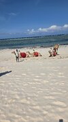 20260521_144720.jpg