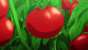 05d33d6bbf8c04dc3ea3310a35eb3c2f.gif