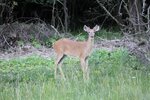 IMG_1282.JPG