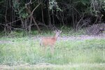 IMG_1283.JPG