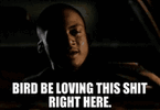 1000032501.gif