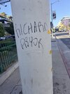 IMG_0989.jpeg