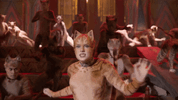 IMG_6814.gif