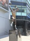 IMG_1239.jpeg