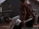 giphy-53.gif