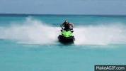 IMG_3861.gif