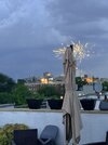 IMG_1450.jpeg