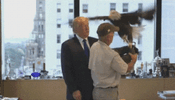 donald-trump-holds-bald-eagle-22elbexld2uoin3h-2228096316.gif