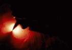 39111.gif