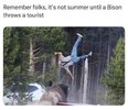 bison_tourist.jpg