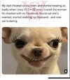 IMG_7253.jpeg