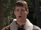 IMG_1137.gif