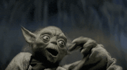 56224.gif