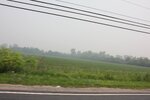 IMG_1663.JPG